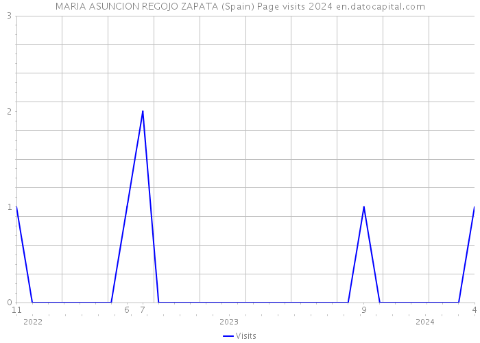 MARIA ASUNCION REGOJO ZAPATA (Spain) Page visits 2024 