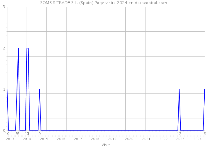 SOMSIS TRADE S.L. (Spain) Page visits 2024 