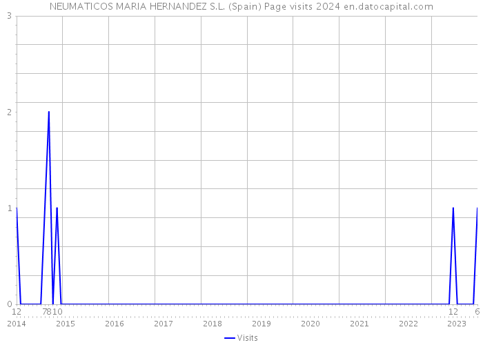 NEUMATICOS MARIA HERNANDEZ S.L. (Spain) Page visits 2024 