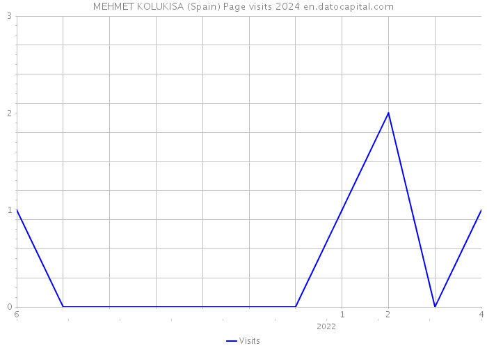 MEHMET KOLUKISA (Spain) Page visits 2024 