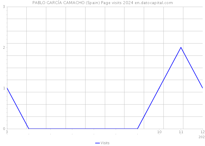 PABLO GARCÍA CAMACHO (Spain) Page visits 2024 