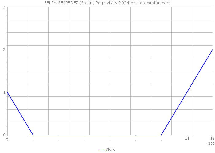 BELZA SESPEDEZ (Spain) Page visits 2024 
