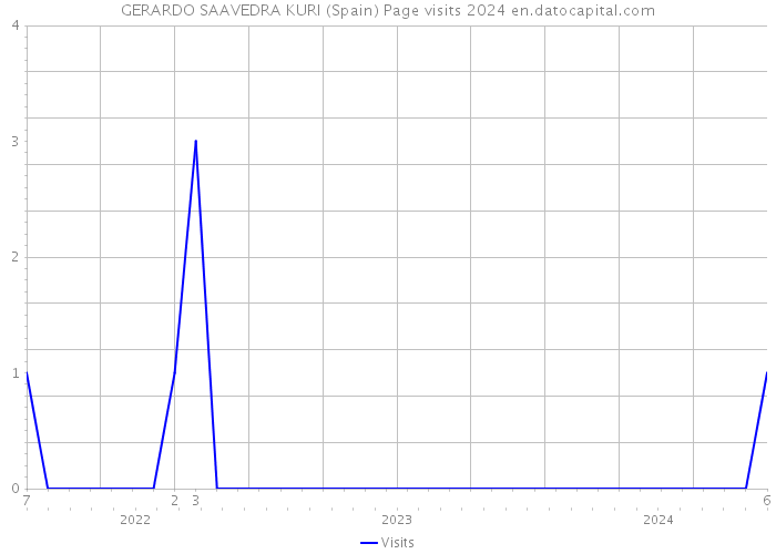 GERARDO SAAVEDRA KURI (Spain) Page visits 2024 