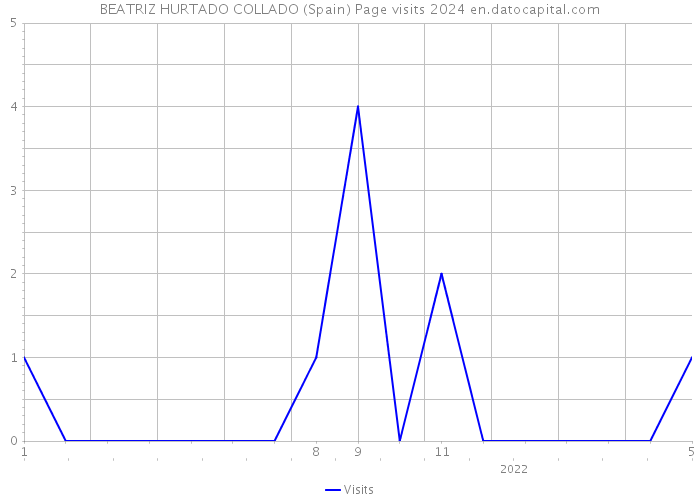 BEATRIZ HURTADO COLLADO (Spain) Page visits 2024 
