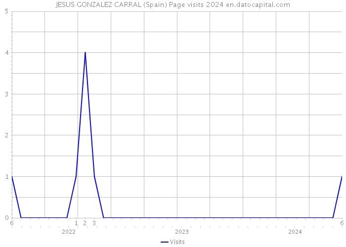JESUS GONZALEZ CARRAL (Spain) Page visits 2024 