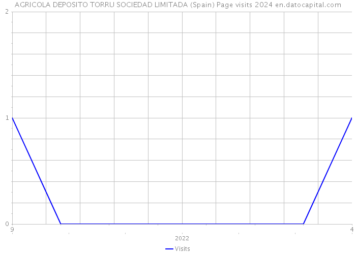 AGRICOLA DEPOSITO TORRU SOCIEDAD LIMITADA (Spain) Page visits 2024 