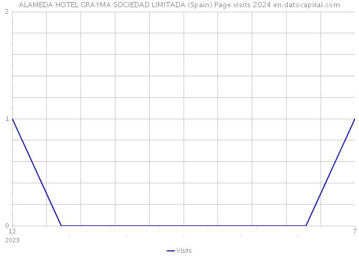 ALAMEDA HOTEL GRAYMA SOCIEDAD LIMITADA (Spain) Page visits 2024 