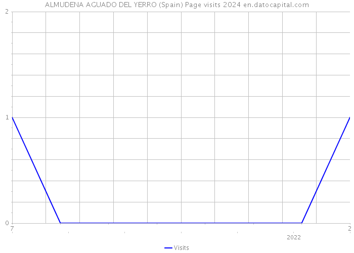 ALMUDENA AGUADO DEL YERRO (Spain) Page visits 2024 