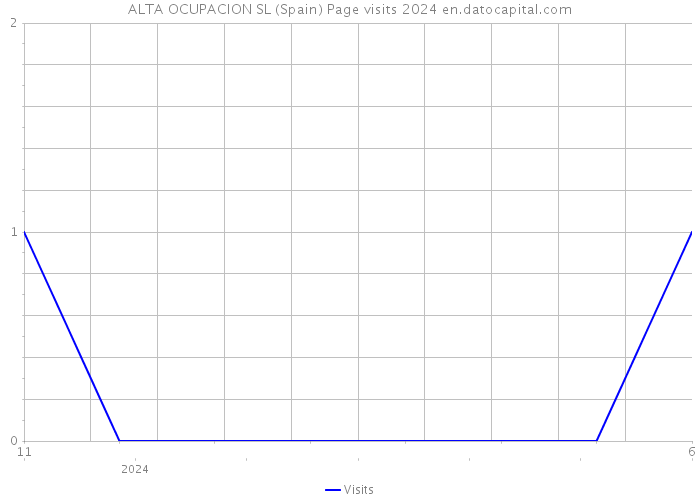 ALTA OCUPACION SL (Spain) Page visits 2024 