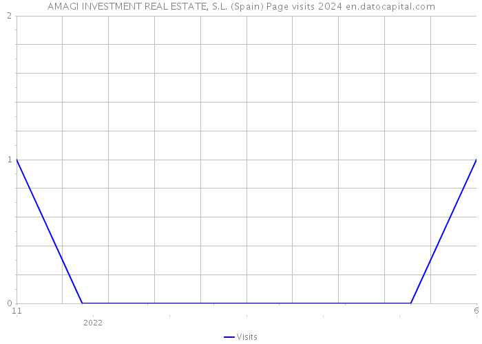 AMAGI INVESTMENT REAL ESTATE, S.L. (Spain) Page visits 2024 