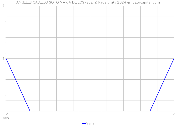 ANGELES CABELLO SOTO MARIA DE LOS (Spain) Page visits 2024 