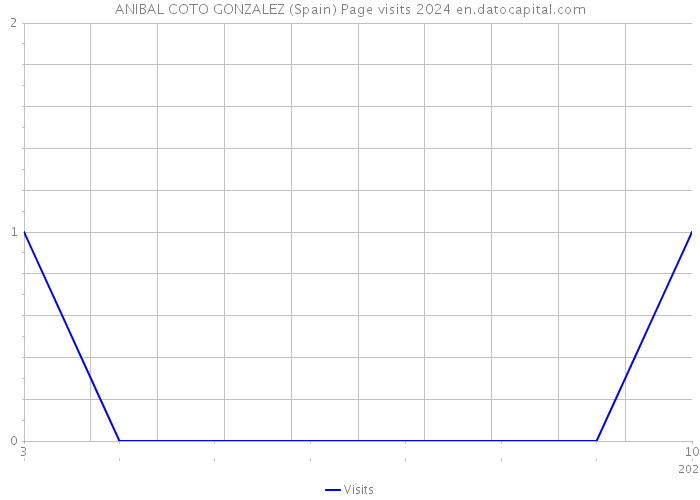ANIBAL COTO GONZALEZ (Spain) Page visits 2024 