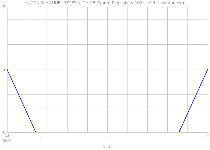 ANTONIO MANUEL REYES ALCAIDE (Spain) Page visits 2024 