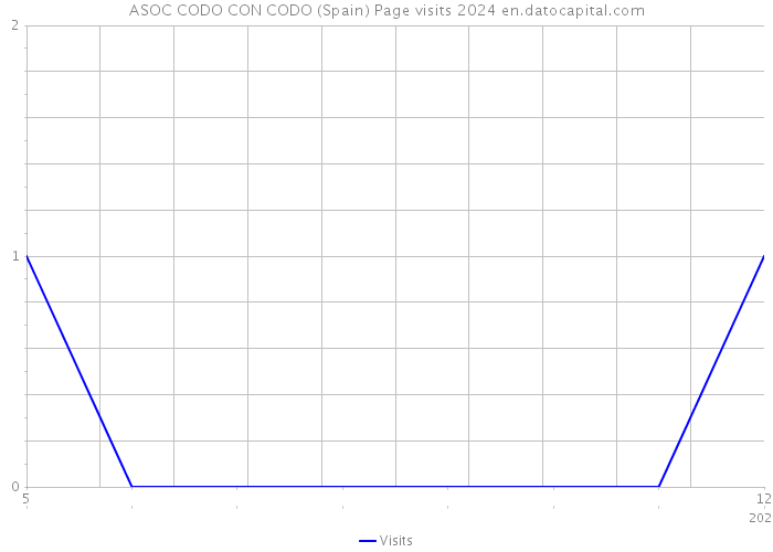 ASOC CODO CON CODO (Spain) Page visits 2024 
