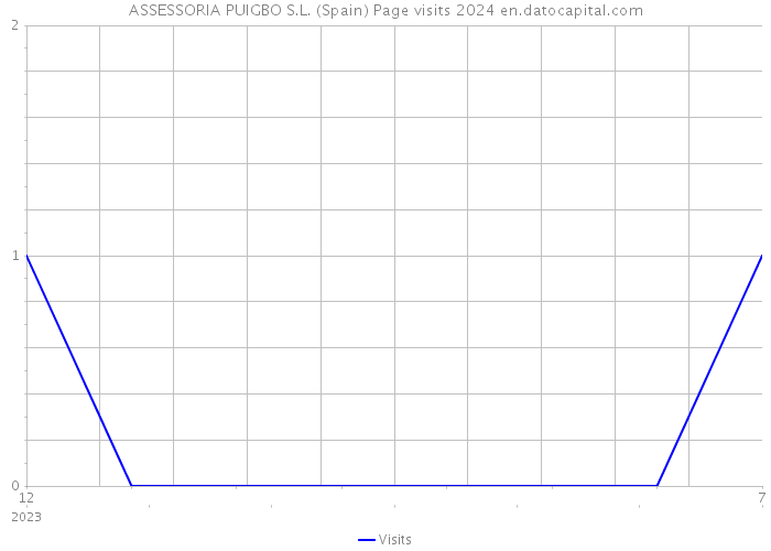 ASSESSORIA PUIGBO S.L. (Spain) Page visits 2024 