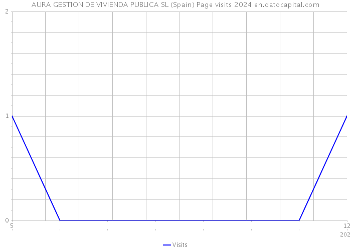 AURA GESTION DE VIVIENDA PUBLICA SL (Spain) Page visits 2024 