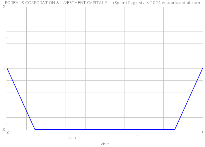 BOREALIS CORPORATION & INVESTMENT CAPITAL S.L. (Spain) Page visits 2024 