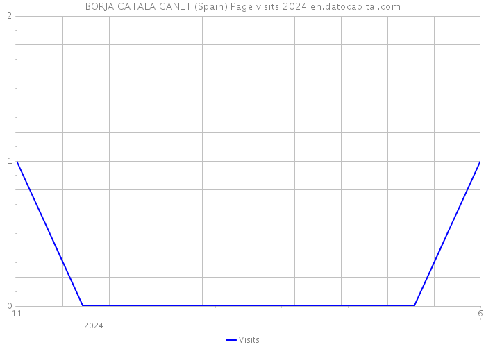 BORJA CATALA CANET (Spain) Page visits 2024 