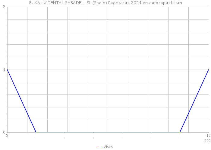 BUKALIX DENTAL SABADELL SL (Spain) Page visits 2024 