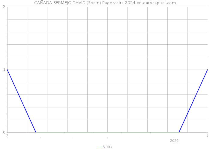 CAÑADA BERMEJO DAVID (Spain) Page visits 2024 