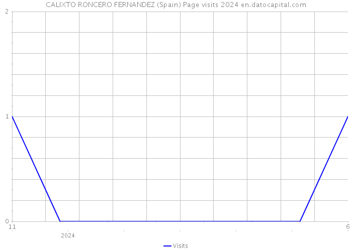 CALIXTO RONCERO FERNANDEZ (Spain) Page visits 2024 