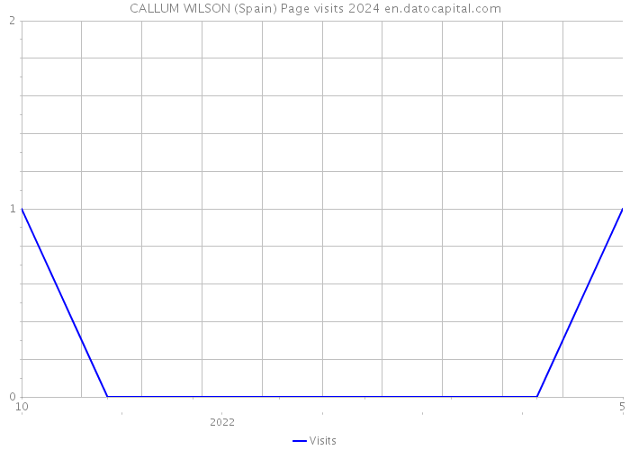 CALLUM WILSON (Spain) Page visits 2024 