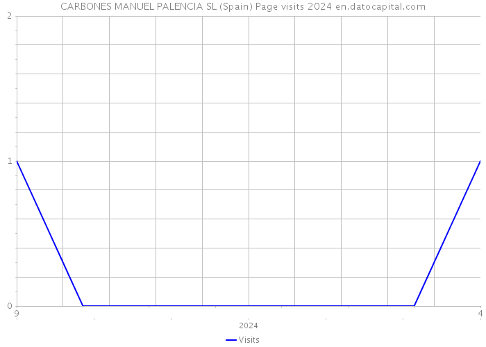 CARBONES MANUEL PALENCIA SL (Spain) Page visits 2024 
