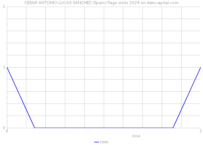 CESAR ANTONIO LUCAS SANCHEZ (Spain) Page visits 2024 