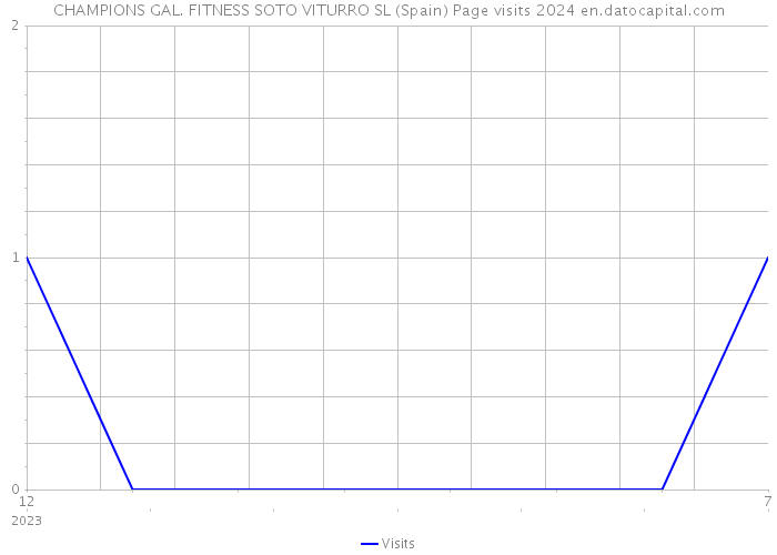 CHAMPIONS GAL. FITNESS SOTO VITURRO SL (Spain) Page visits 2024 