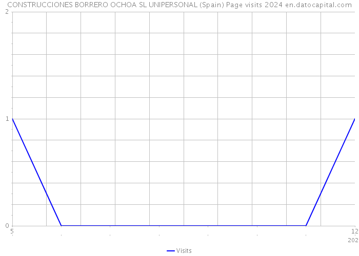 CONSTRUCCIONES BORRERO OCHOA SL UNIPERSONAL (Spain) Page visits 2024 