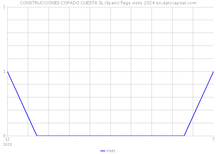 CONSTRUCCIONES COPADO CUESTA SL (Spain) Page visits 2024 
