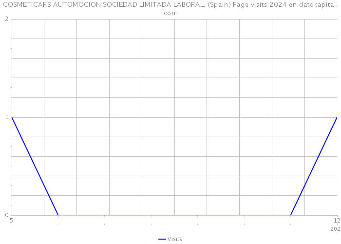 COSMETICARS AUTOMOCION SOCIEDAD LIMITADA LABORAL. (Spain) Page visits 2024 