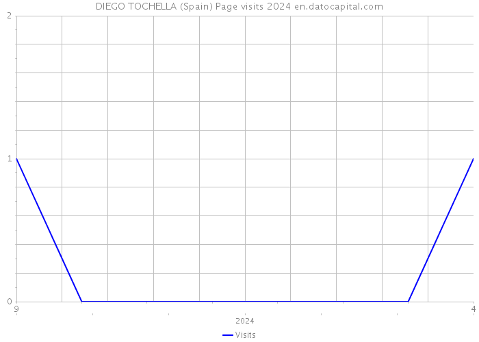 DIEGO TOCHELLA (Spain) Page visits 2024 