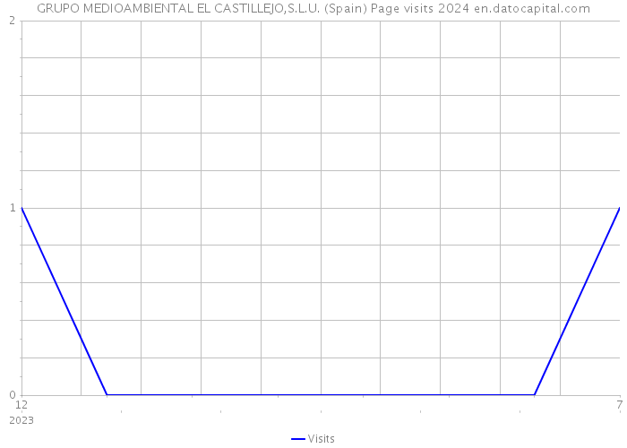 GRUPO MEDIOAMBIENTAL EL CASTILLEJO,S.L.U. (Spain) Page visits 2024 