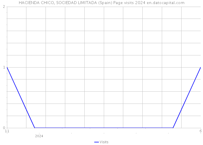 HACIENDA CHICO, SOCIEDAD LIMITADA (Spain) Page visits 2024 