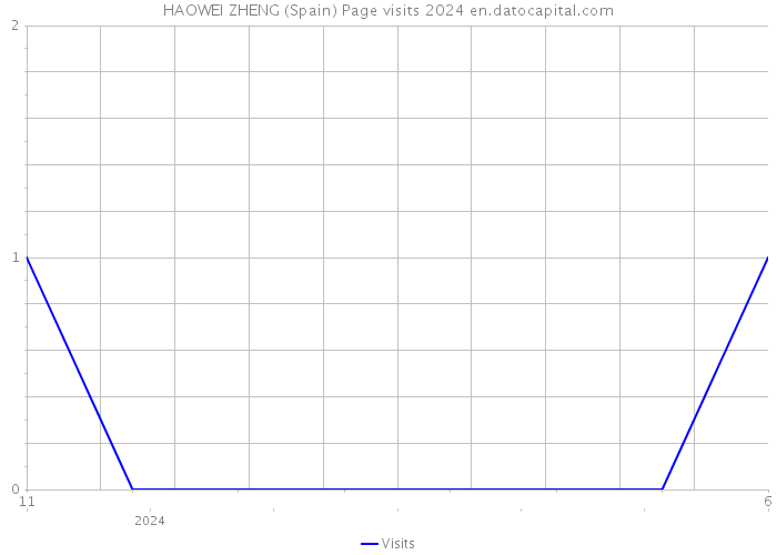 HAOWEI ZHENG (Spain) Page visits 2024 