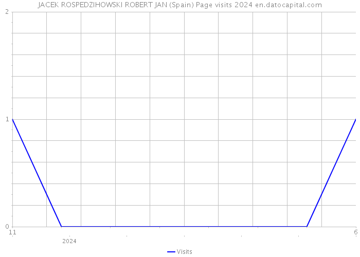 JACEK ROSPEDZIHOWSKI ROBERT JAN (Spain) Page visits 2024 