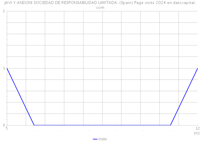 JAVI Y ANDONI SOCIEDAD DE RESPONSABILIDAD LIMITADA. (Spain) Page visits 2024 