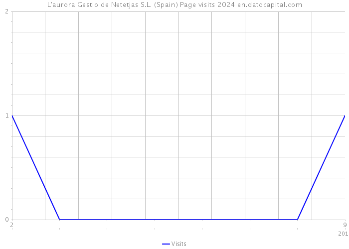 L'aurora Gestio de Netetjas S.L. (Spain) Page visits 2024 