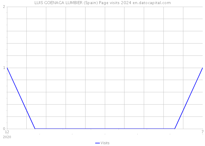 LUIS GOENAGA LUMBIER (Spain) Page visits 2024 