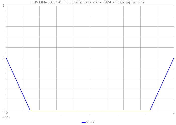 LUIS PINA SALINAS S.L. (Spain) Page visits 2024 