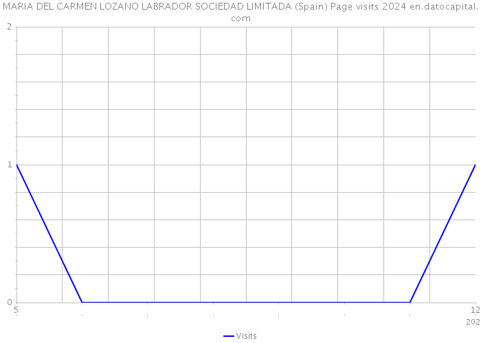 MARIA DEL CARMEN LOZANO LABRADOR SOCIEDAD LIMITADA (Spain) Page visits 2024 