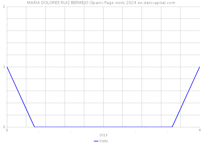 MARIA DOLORES RUIZ BERMEJO (Spain) Page visits 2024 