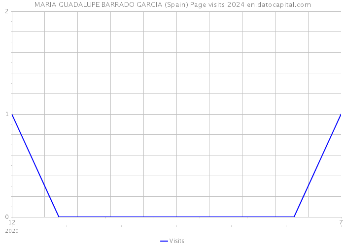 MARIA GUADALUPE BARRADO GARCIA (Spain) Page visits 2024 