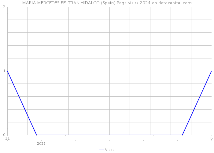 MARIA MERCEDES BELTRAN HIDALGO (Spain) Page visits 2024 