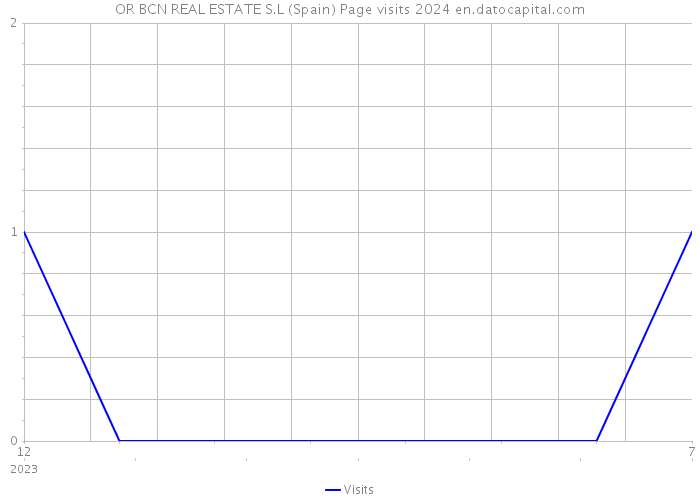 OR BCN REAL ESTATE S.L (Spain) Page visits 2024 