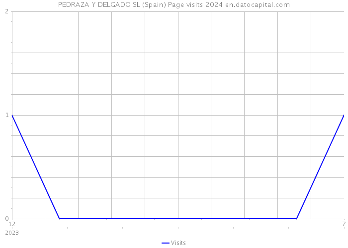 PEDRAZA Y DELGADO SL (Spain) Page visits 2024 