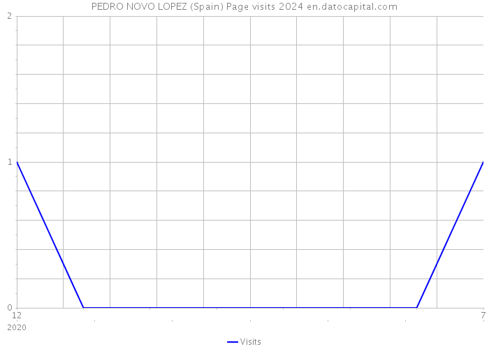 PEDRO NOVO LOPEZ (Spain) Page visits 2024 