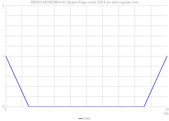 PEDRO REYES BRAVO (Spain) Page visits 2024 