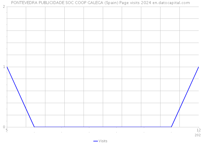 PONTEVEDRA PUBLICIDADE SOC COOP GALEGA (Spain) Page visits 2024 